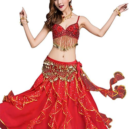 Egyptian Cabaret Tribal Classic Belly Dance Bra Top with Fringe Coins