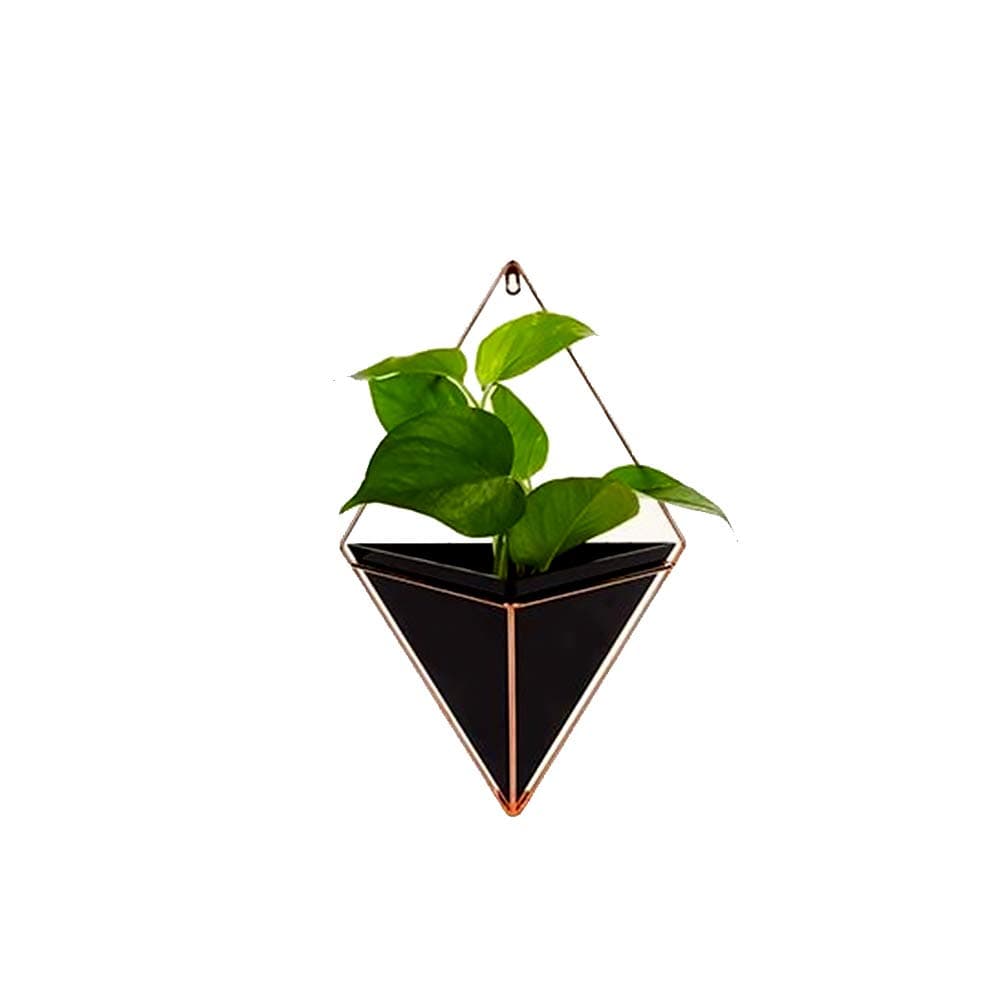 Ruiting Geometric Hanging Basket Planter Wall Planting Pot Decor Indoor Flower Pot Wall Mount Plant Holder