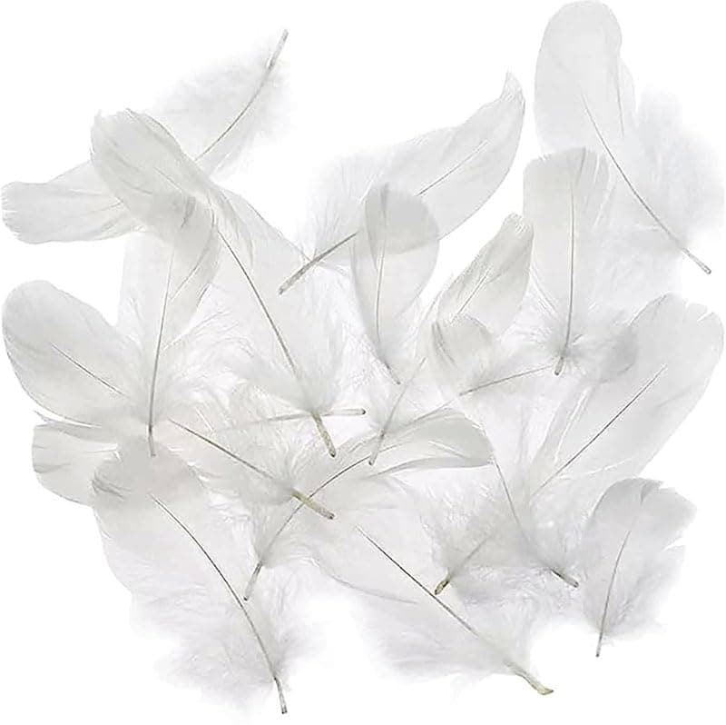 100 PCS Feathers for Crafting, Fluffy Soft Small Large Natural Goose for DIY Dream Catcher Carnival Decorations Hat Vase Mask Fluffy Soft Feathers Bulk for Wedding Home Party (White)
