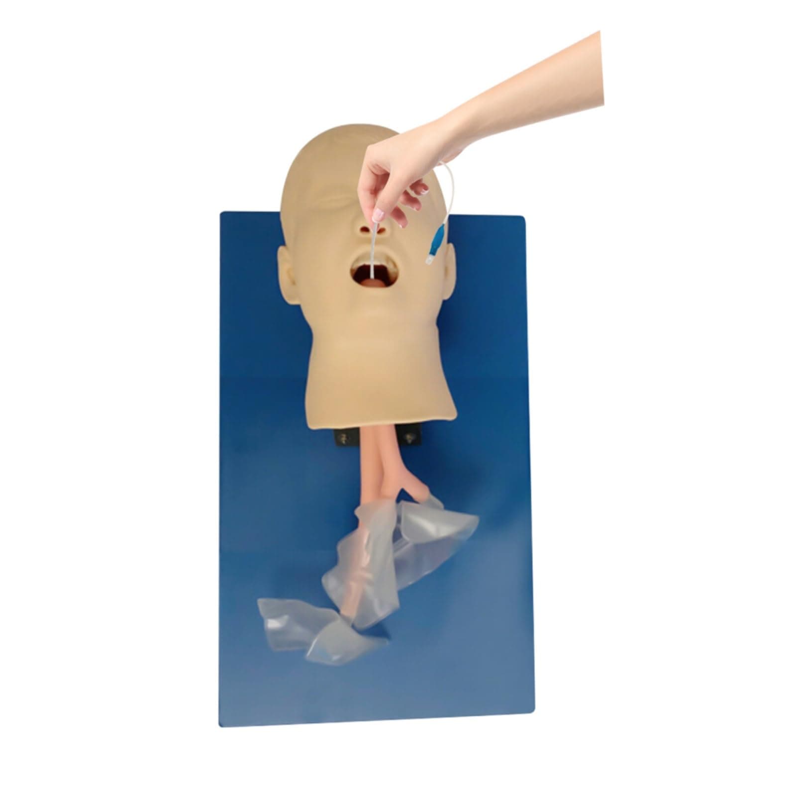 Intubation Model, Airway Management Trainer Intubation Manikin Oral Nasal Training Study Tracheal Baby Care Teaching Simulator Model for Lab Education School