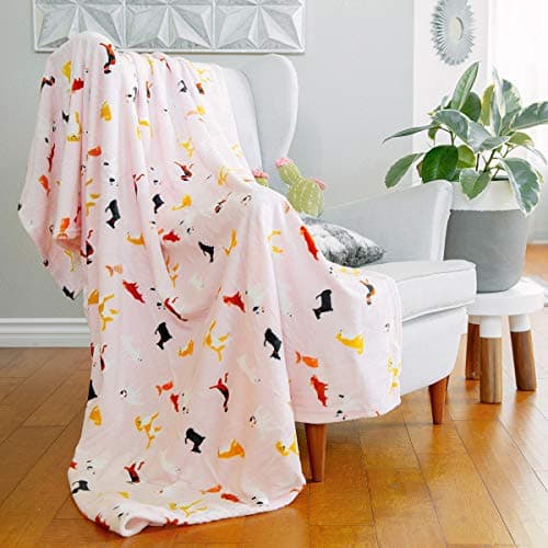 AVAFORT Velvet Plush Home Fleece Throw Blanket for Couch Sofa Bed, Warm Elegant Fuzzy Flannel Blanket for Kid Baby Adults or Pet, Lightweight Soft Cozy Warm Luxury Microfiber Blankets (Elephant Gray)