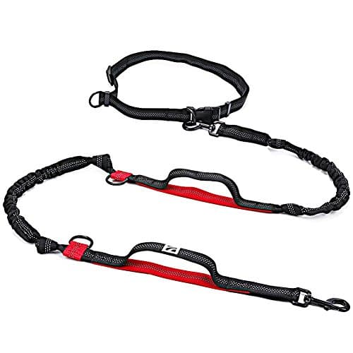 Hands Free Dog Leash with Dual Bungee and Handles Retractable for Up to 150lbs Large Puppy