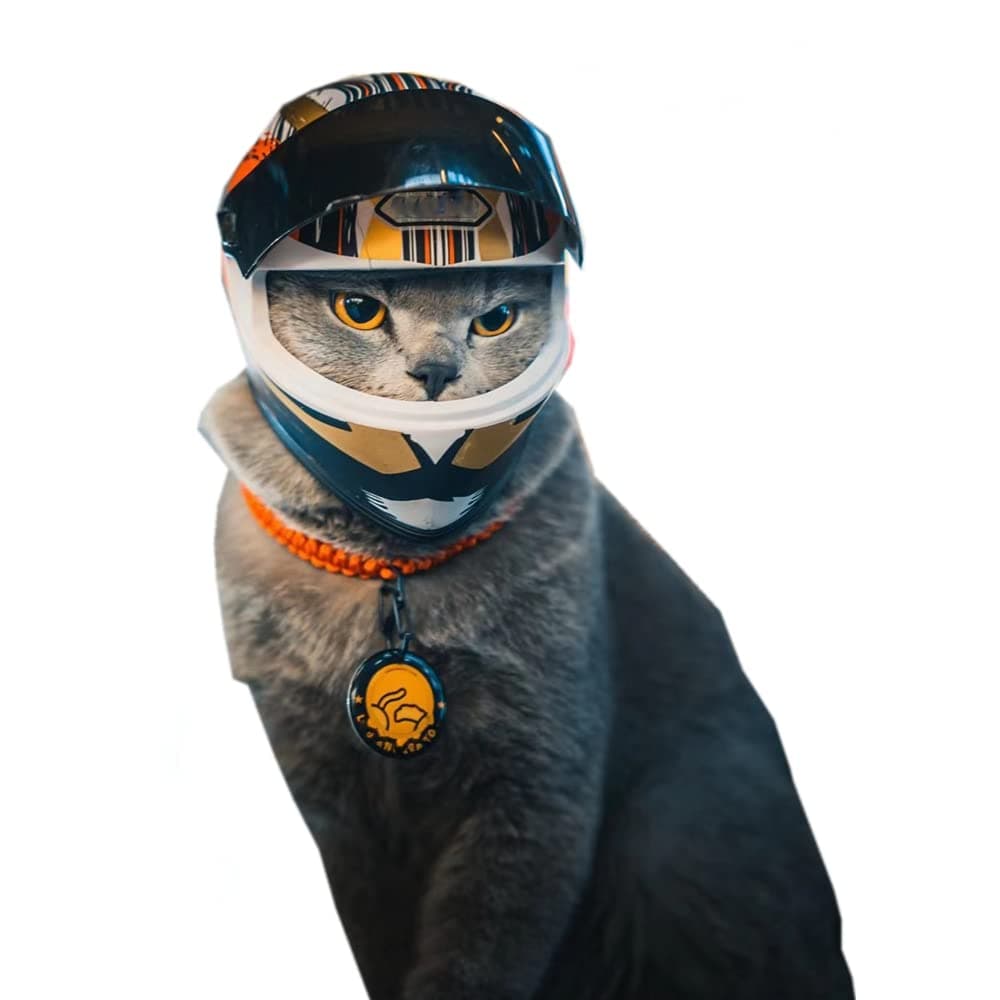 Pet Motorcycle Helmet, Full Face Motorcycle Helmet Outdoor Motorcycle Bike Riding Helmet Hat for Cat Dog Doggie Puppy Kitten Helmet Pet Supplies Racing Car Fan Collectible Small Gift (Multicolor)