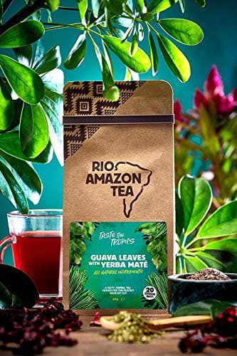 Guava Leaves & Yerba Mate 40