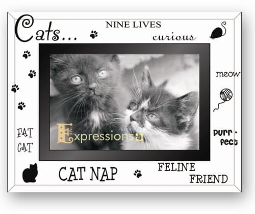Tudor Photo Moments Cat Photo Frame, Glass/Mirror, 4 x 6