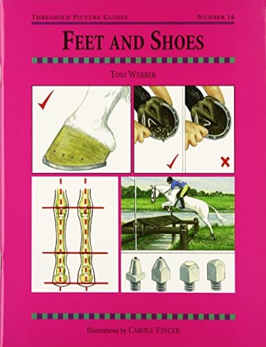 Feet and Shoes (Threshold Picture Guides, 16)