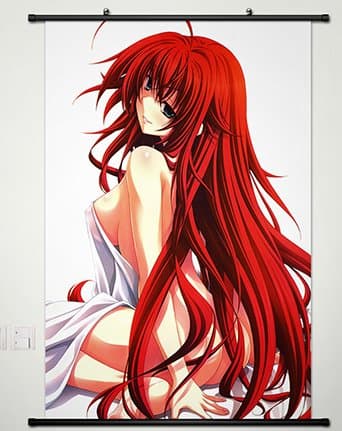 Wall Scroll Poster Fabric Painting For Anime High School DxD New Rias Gremory 063 S