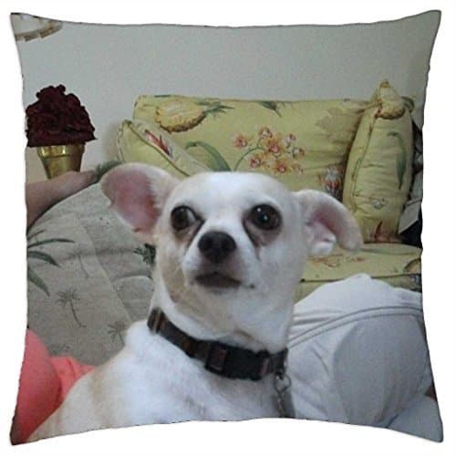 SteelSet Penni Page - Throw Pillow Cover Case (18