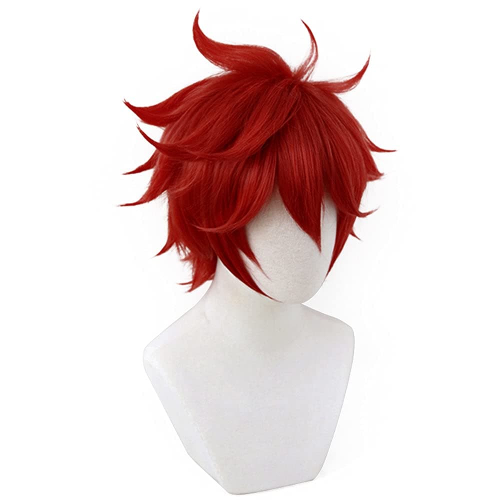 Adult SK8 the Infinity Reki Kyan Cosplay Wig for Halloween (Red)