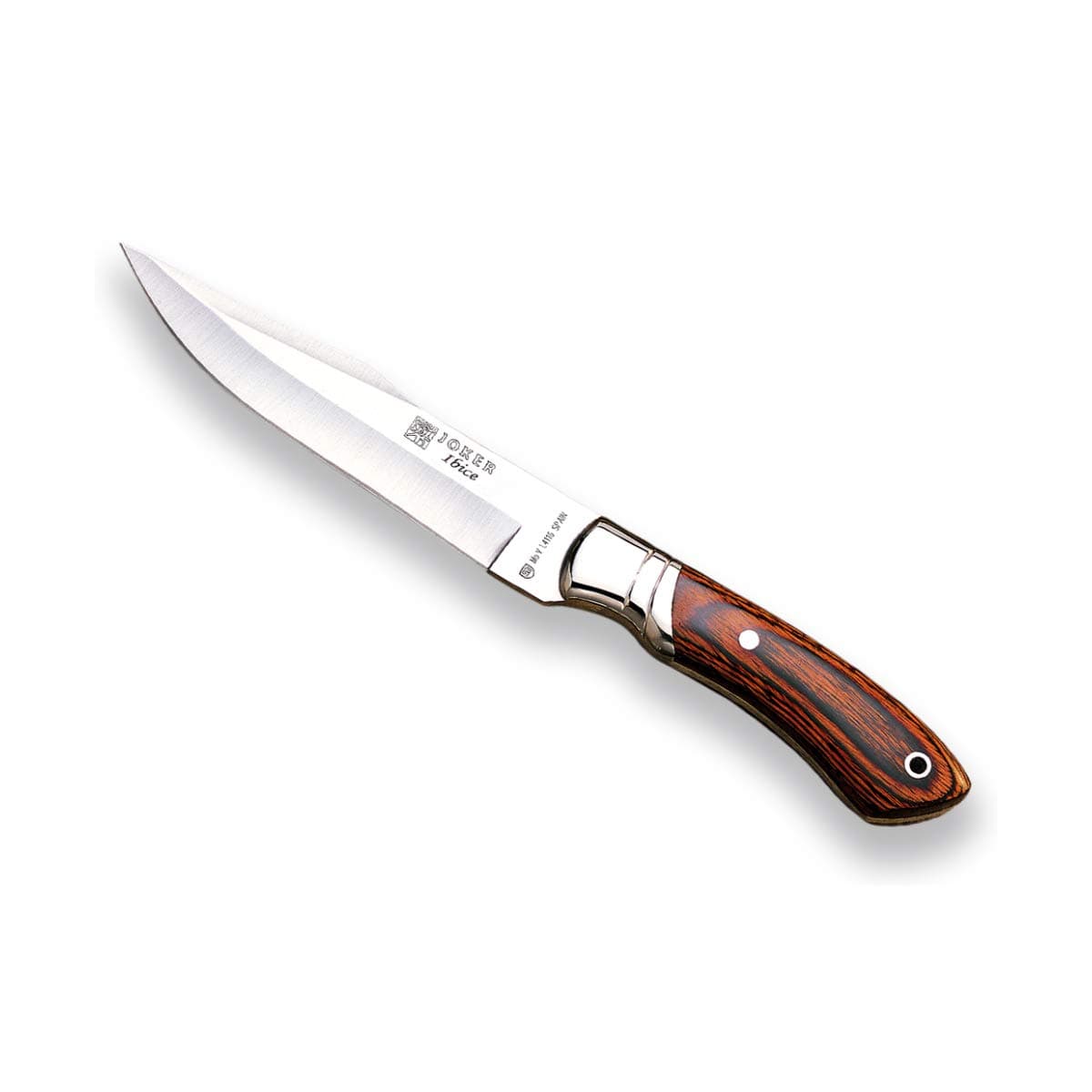 JokerHunting Knife Ibice CR03, Stainless Steel Ferrule, Handle of Pressed red Wood Stamina, MOVA Blade 5.90 inches, Brown Leather Sheath, Fishing Tool, Hunting, Camping and Hiking.