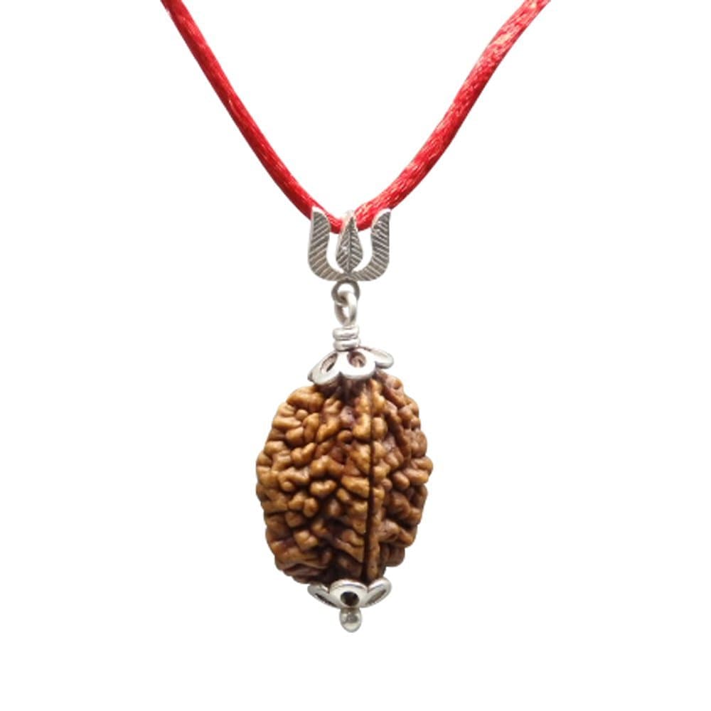 Nepali & Indian Rudraksha Pendant in 925 Sterling Silver – Natural, Certified, Spiritual Beads for Men & Women