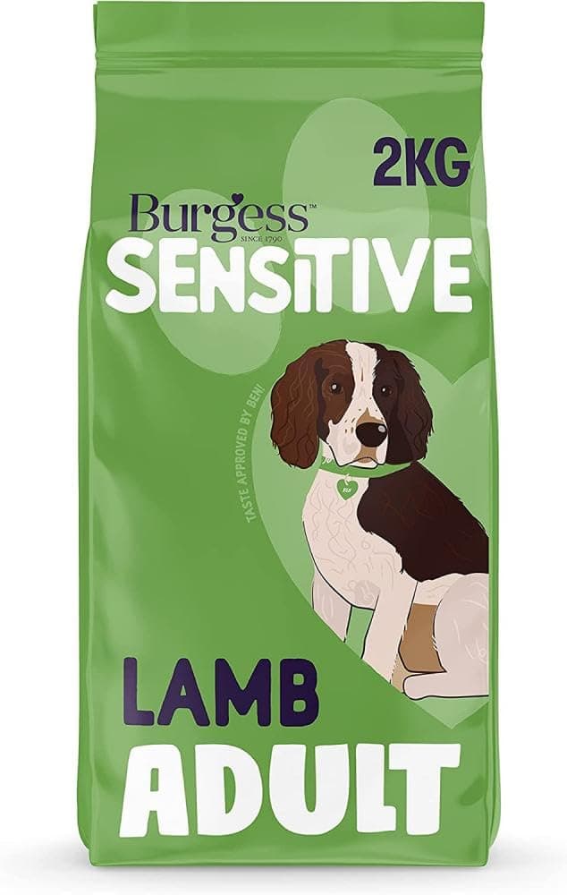 Adult Lamb Dry Dog Food - 2KG