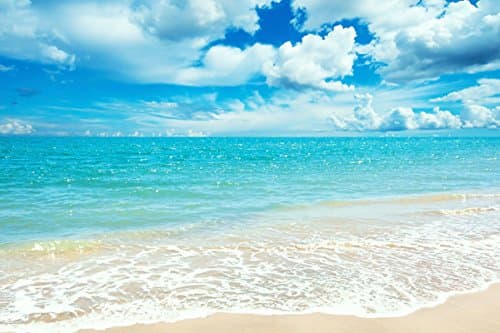 Beach (P-001028) - Nature Poster Canvas Art Print (36x24inch)