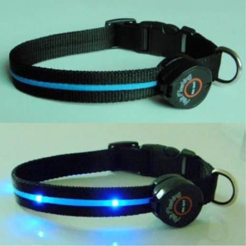 Dog Collar with Blue LED Lights, Multi-Function, Medium