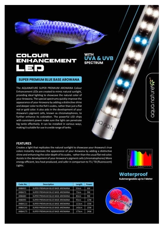 aqua nature Colour Enhancement Led With Uva & Uvb Spectrum Tanning Lights For Arowana, Tropical,Reptiles & Marine Fishes (Blue, 53Cm), Glass, Corded Electric