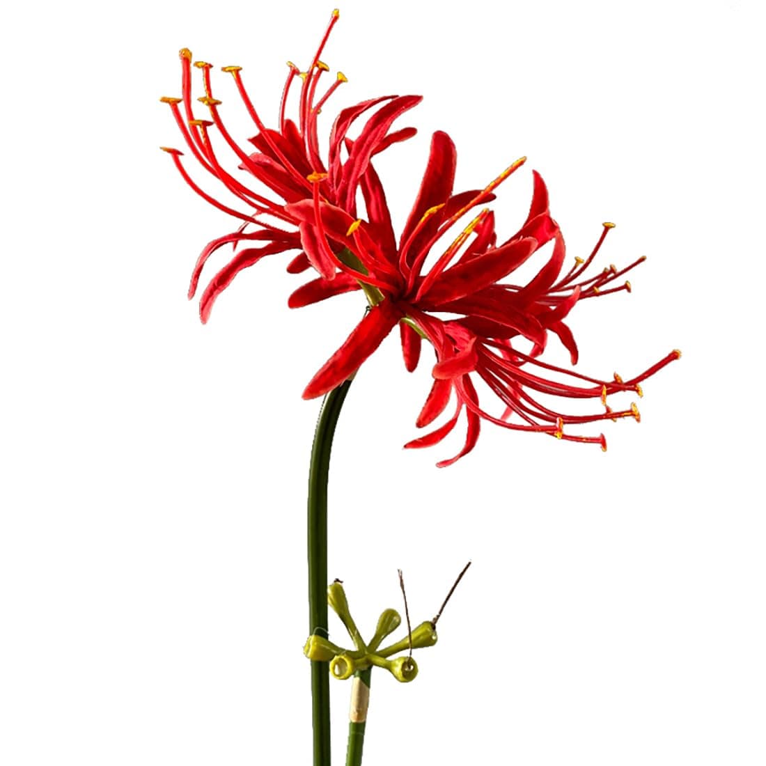 4 Stems 26.38'' Artificial Spider Lily Flowers Lycoris Radiata for Home Garden Decoration Red