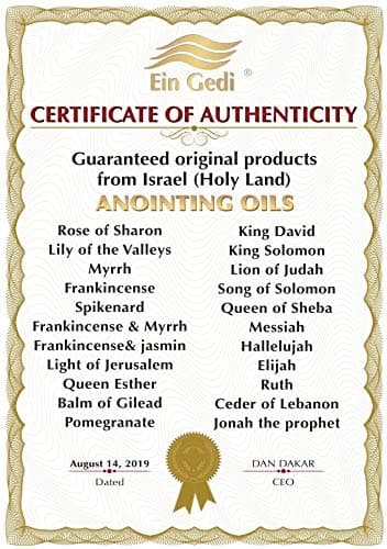 Cinnamon Prosperity Anointing Oil 250 ml - 8.5fl oz from Holyland Jerusalem (250ml)