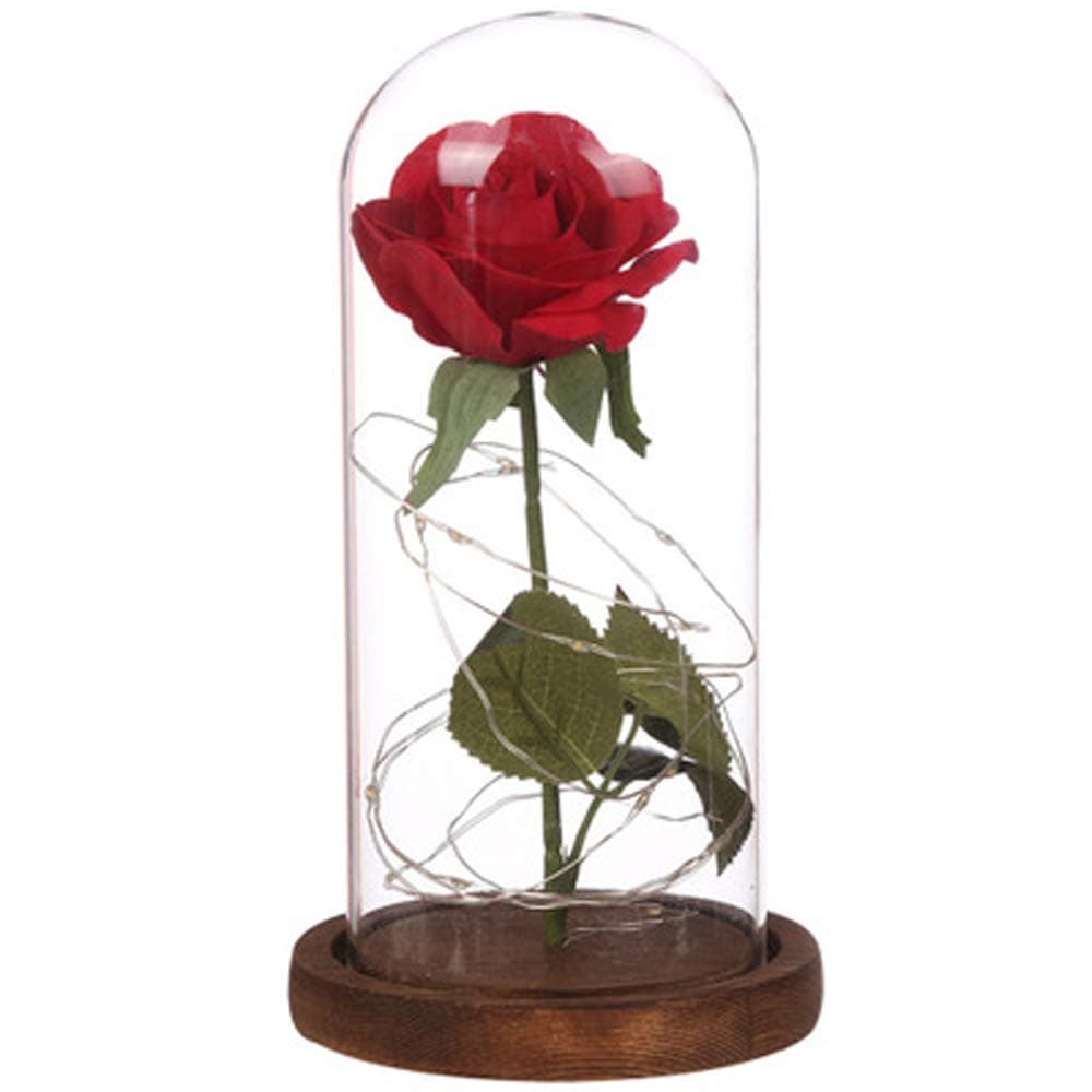 Forever Rose - Middle Beauty And The Beast Rose in Luxury Glass Dome with Wooden Base and Elegant Gift Box - Gift for Valentine's Day Mother's Day Wedding Anniversary Birthday