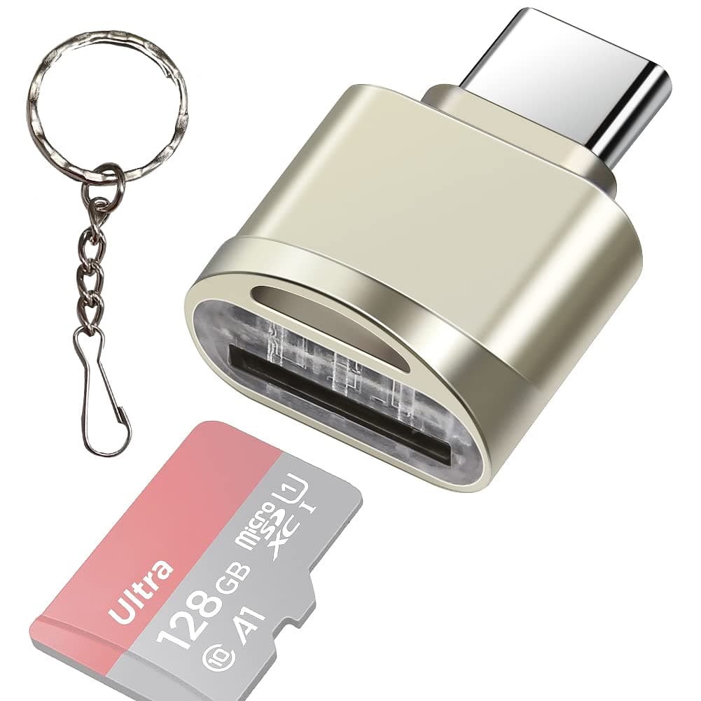 leizhan Type C Micro SD/TF Card Reader with Keychain,USB C to Micro SD SDHC SDXC OTG Memory Reader, Type C Card Reader Adapter Compatible for Mac Windows Lixus Samsung Galaxy - Silver