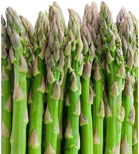10 Asparagus Roots Jersey Supreme - Male Dominate - Tasty - No GMOs