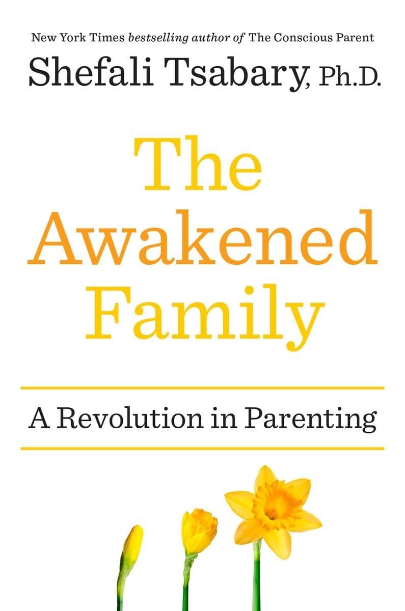 The Awakened Family: A Revolution in Parenting Hardcover – 31 May 2016