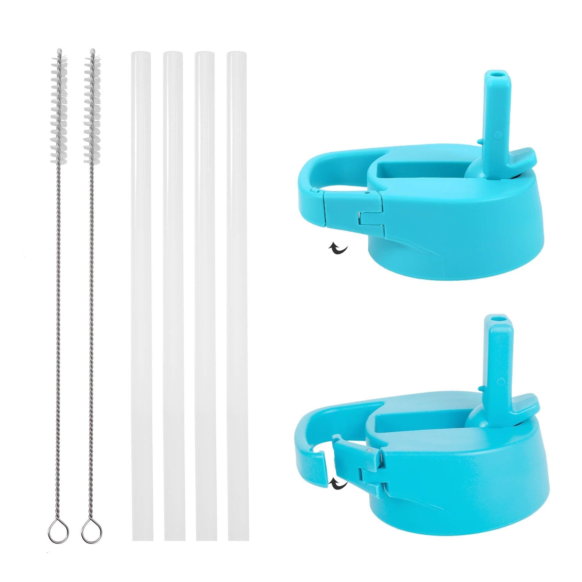 IRON °FLASK Carabiner Straw Lid for Wide Mouth Insulated Sports Water Bottles, Simple BPA Free, 2 Lids, 4 Straws, 2 Cleaning Brushes (Aquamarine)