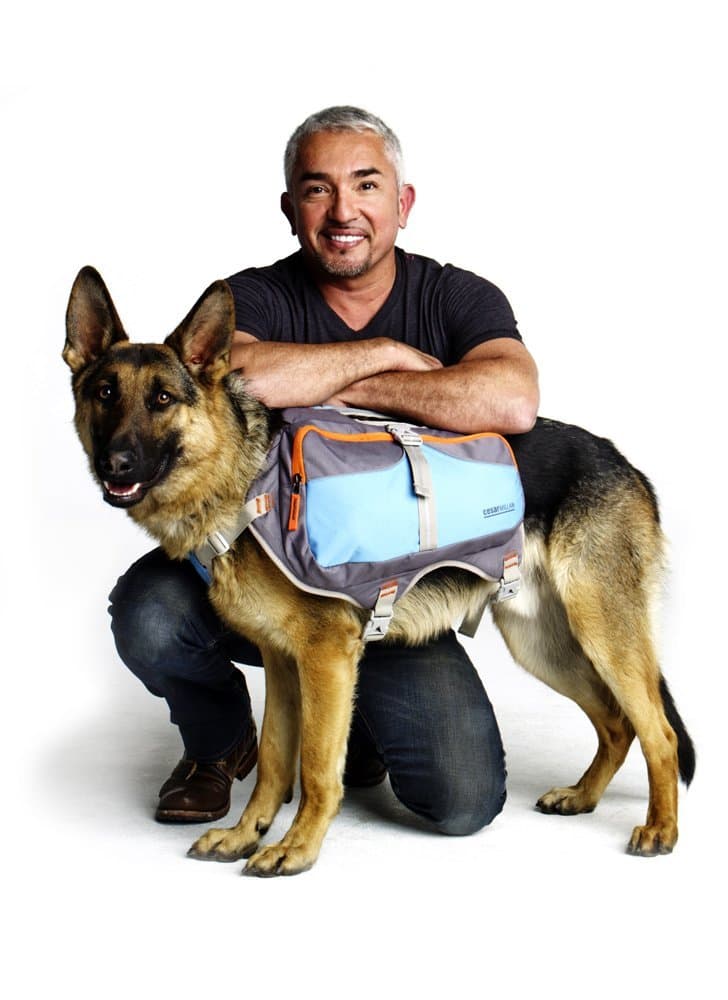 Cesar Millan Backpack™ - Dog Whisperer Well-Padded Hiking Backpack for Dogs - Durable