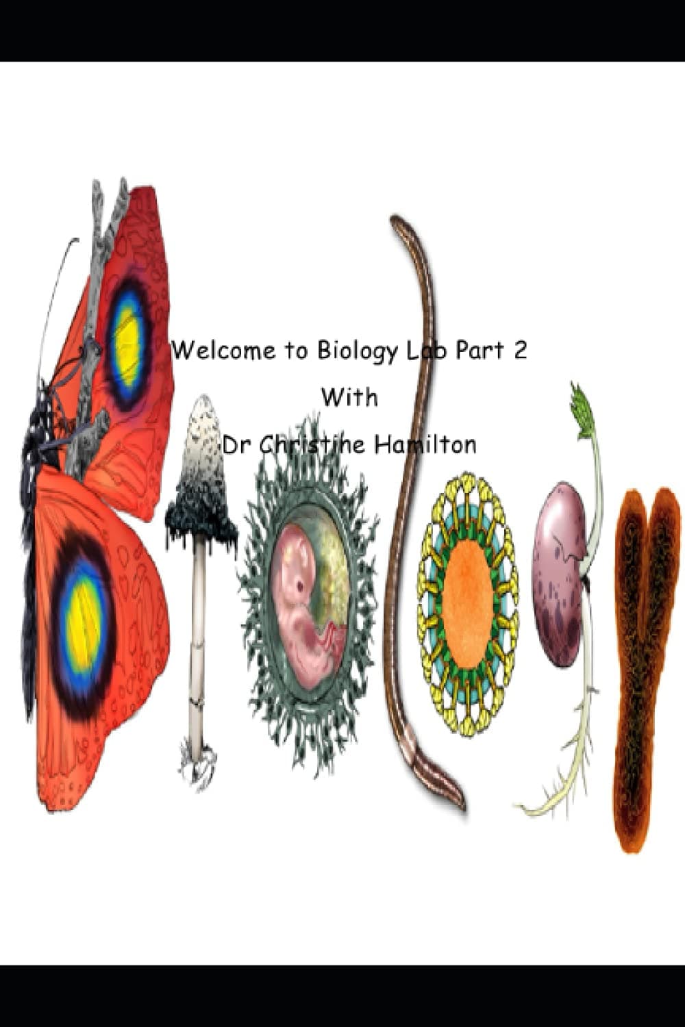 Biology Lab Part 2: Homeschool Connections Paperback – August 9, 2021