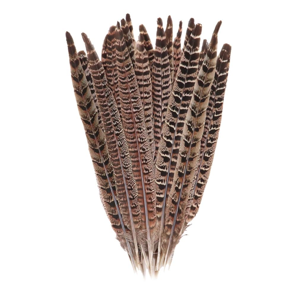 10 Pcs Long Pheasant Tail Feathers Natural Pheasant Feathers Floral Arrangement Feathers Feather Wedding Centerpiece Home Party Decorations