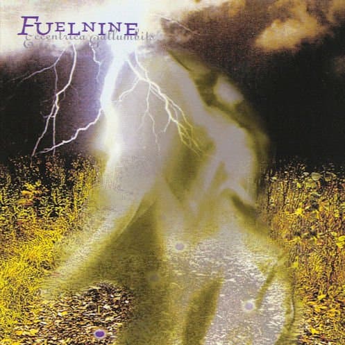 Eccentrica Gallumbits