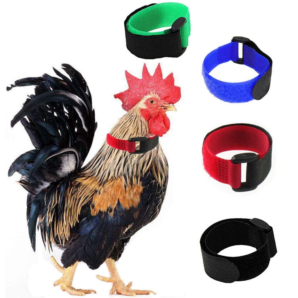 4 Pack No Crow Rooster Collar, Chicken Collar Anti-Hook Noise Free Neckband No Crow Noise Neck Belt for Roosters - Prevent Chickens from Screaming, Disturbing Neighbors