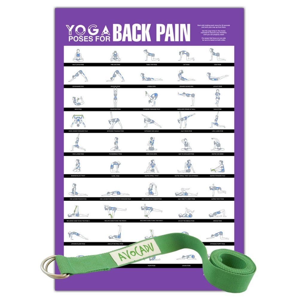 Avocadu Yoga Poses for Back and Neck Pain with 6' Yoga Strap Included- Premium 16"x 24" Poster with Illustrated Yoga Flow Poses for Easy Home Workouts