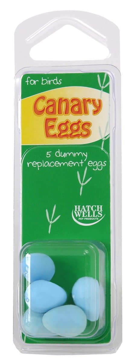 Hatchwell Co Ltd Hatchwells Canary Eggs 5Pk