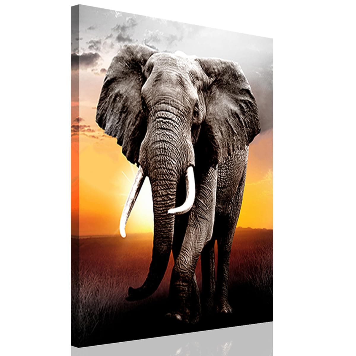 CANWALLS ART Elephant Wall Art Bathroom Decor Pictures - Stretched, 8"" x 10"" Inch