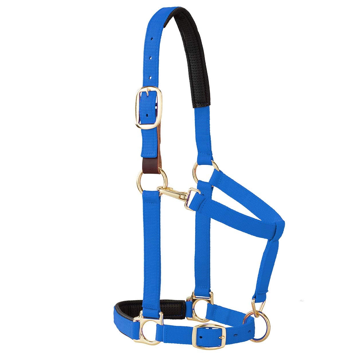 Breakaway Horse Halter, Comfort Foam Padding, Adjustable Chin & Throat Snap Halters for Horses, Equine Tack,Average Size, Blue