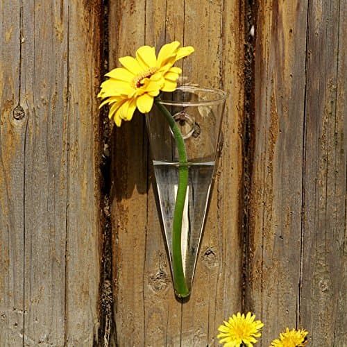 Pack Of 2 Hanging Clear Glass TERRARIUM Taper Wall mount Vase flower vase for home garden decor