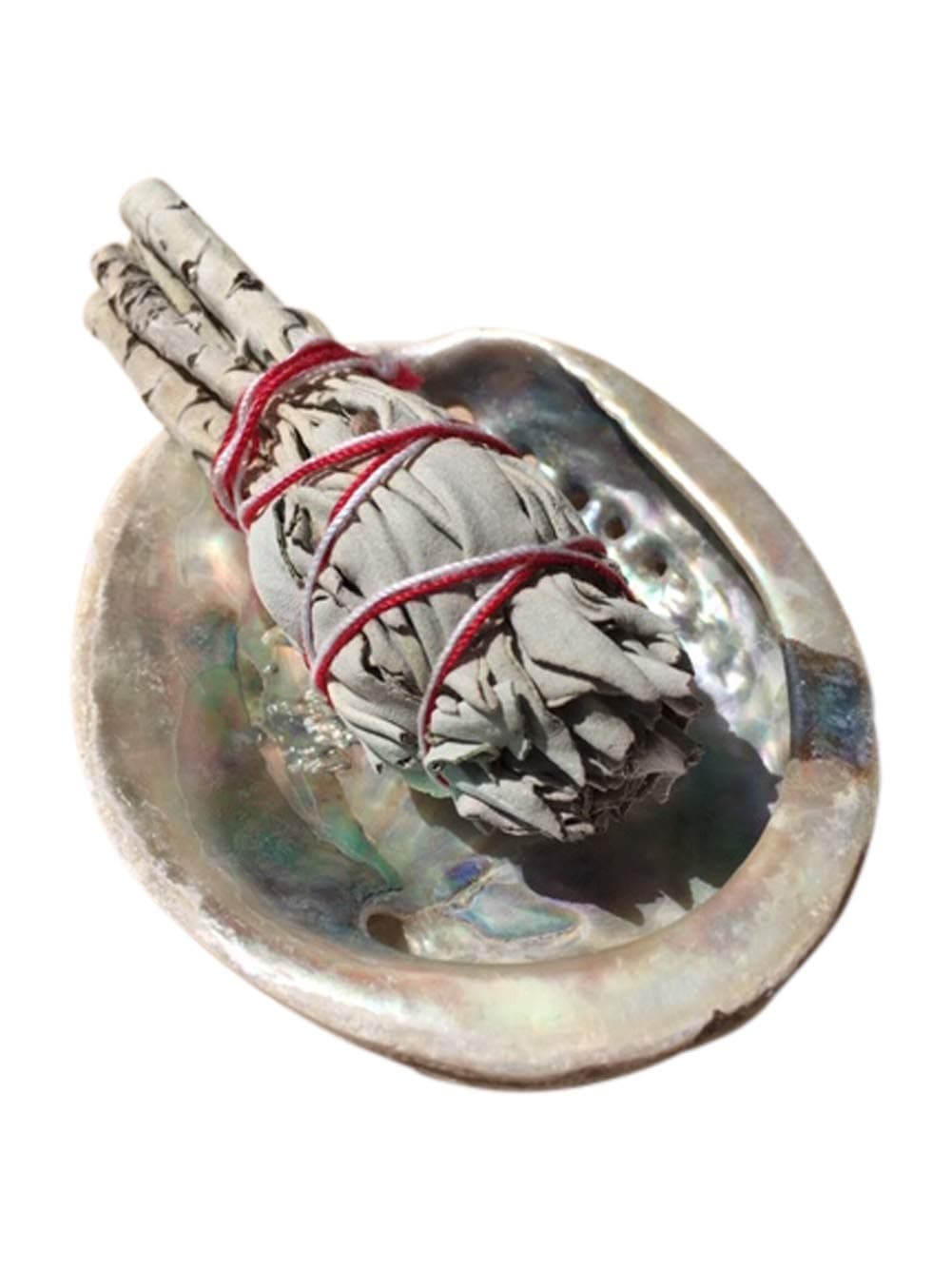 Californian White Sage Smudge Stick Plus Abalone Shell Shaman Meditation Incense Ceremony