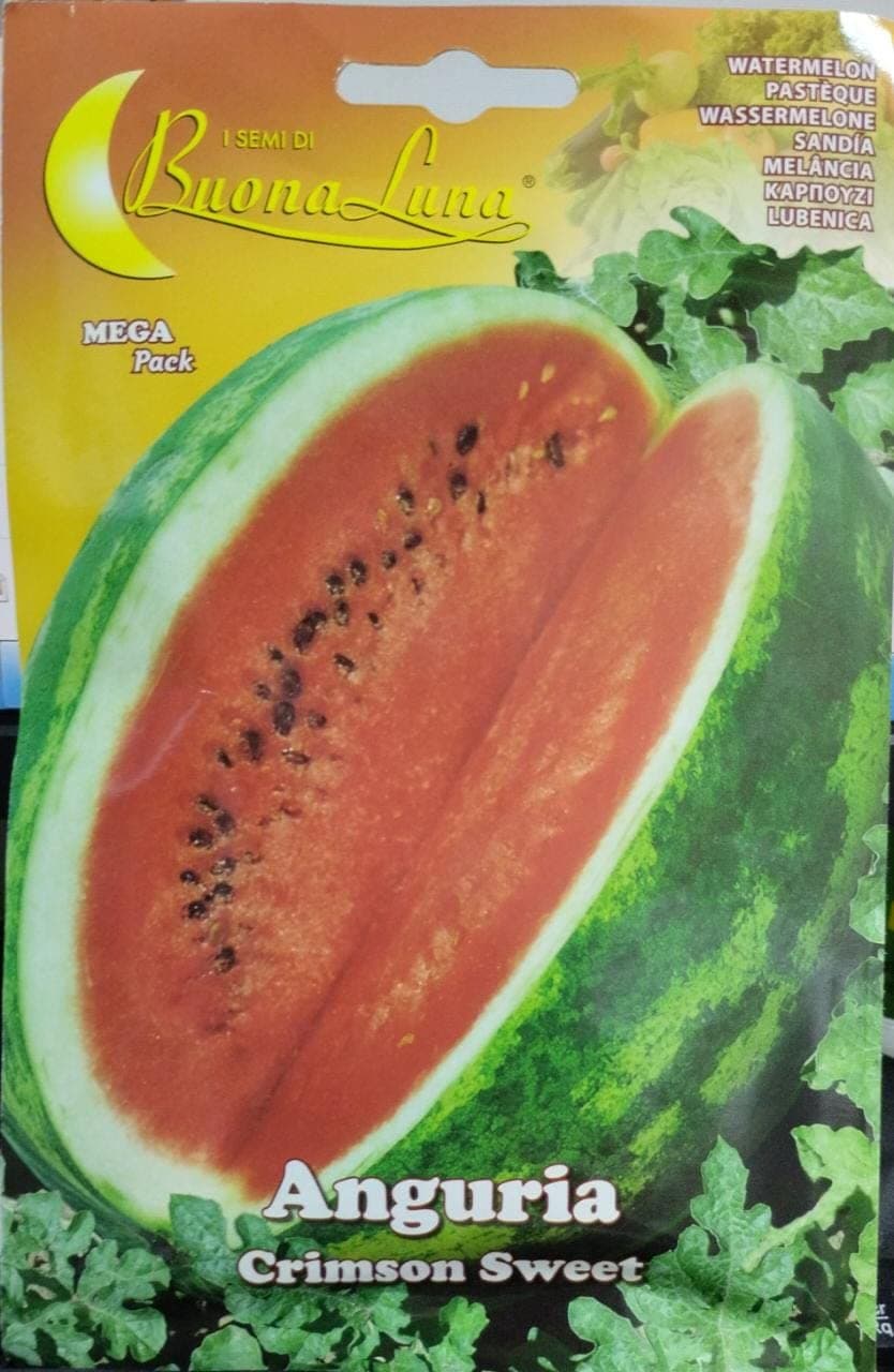 ANGURIA (WATERMELON)