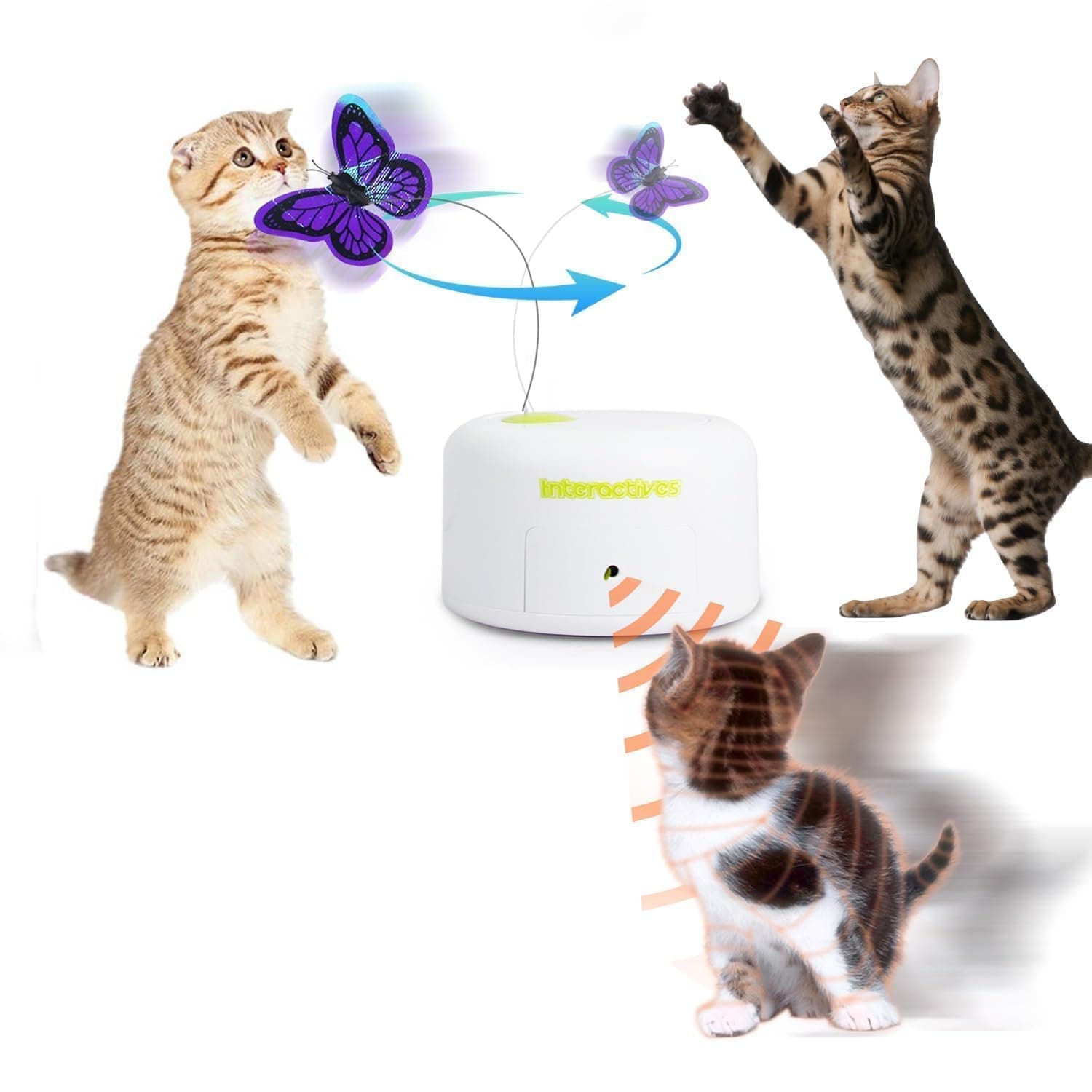 ALL FOR PAWS Interactives Cat Teaser Toy Flutter Bug Cat Wand Toy Fun Playing Toys Kitten Toys with Shiny Butterfly