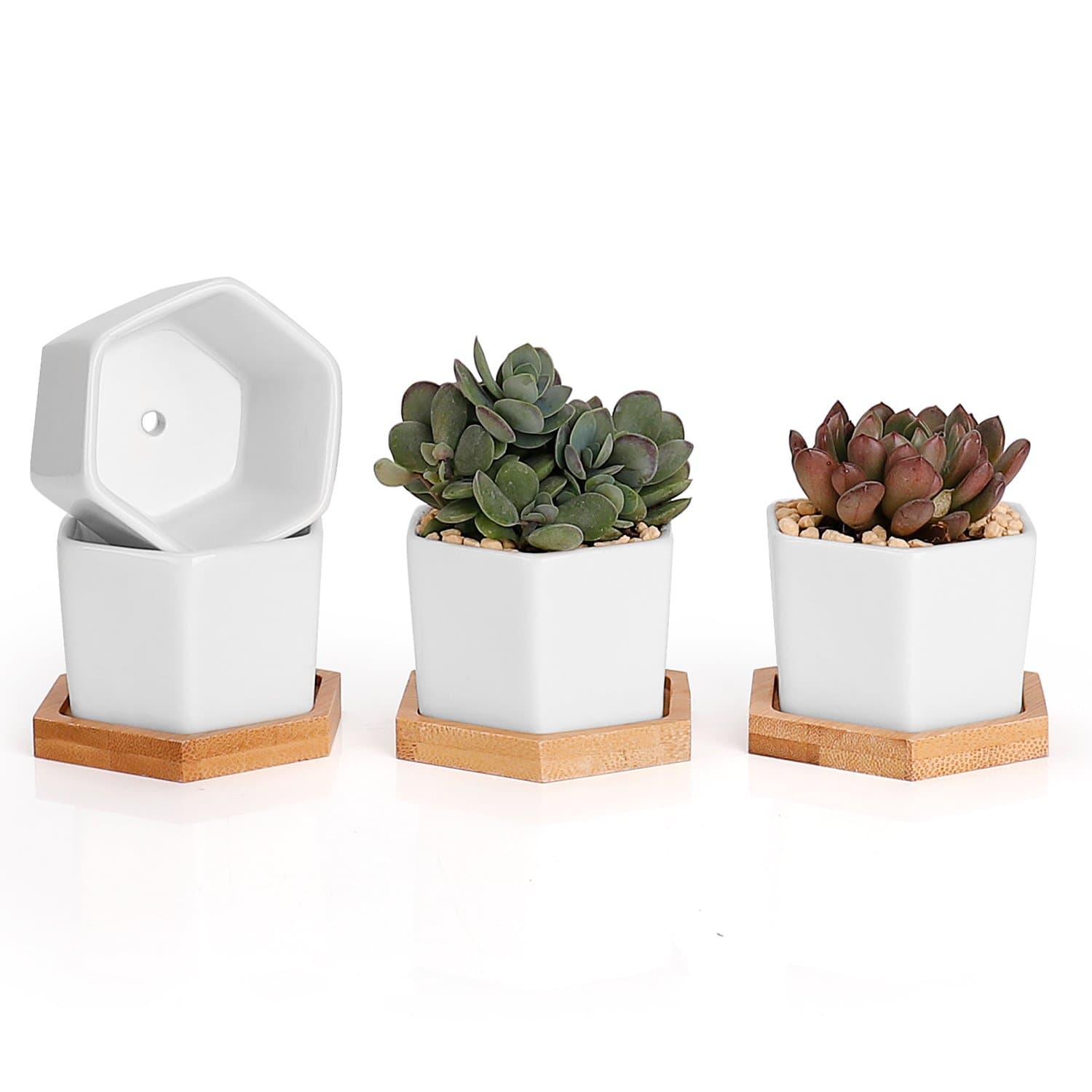 Succulent Plant Pots, Hexagon Planter, Flower Pots, Set of 4, White