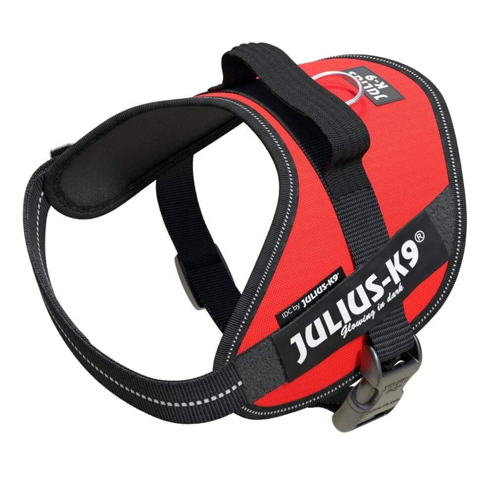 Julius-K9, 16IDC-R-M, IDC Powerharness, Dog Harness, Size: Mini, Red