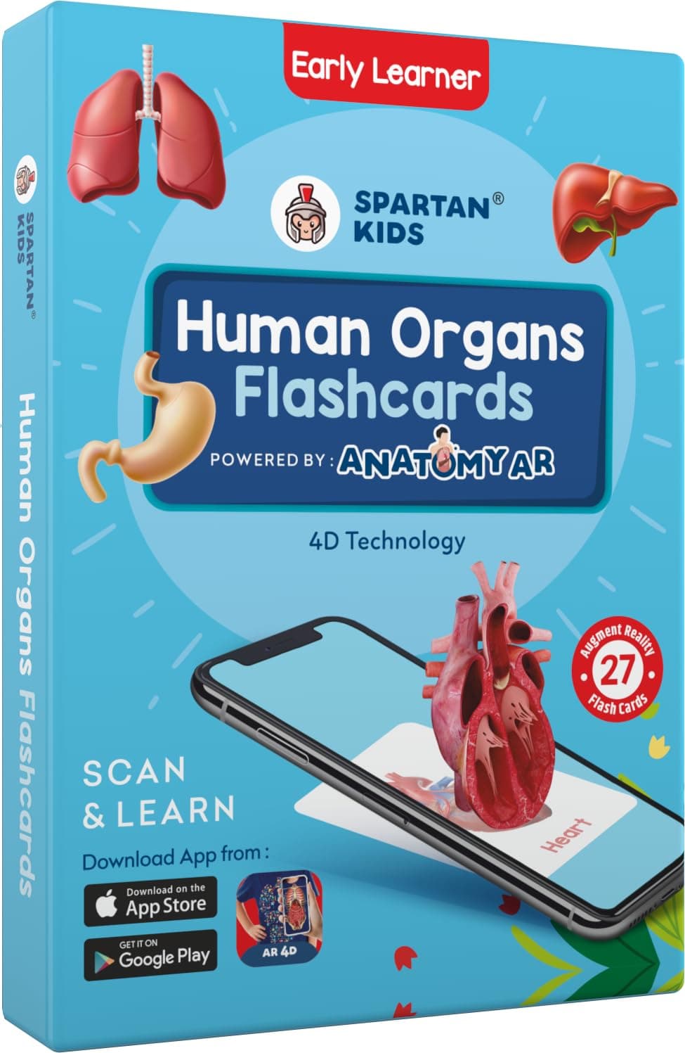 Human Organs Flash