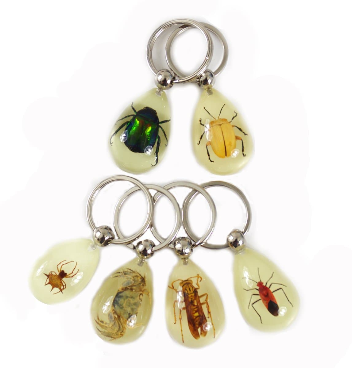 6 Pieces Real Insect Bug Key Chain,Assorted Bugs in Glowing,
