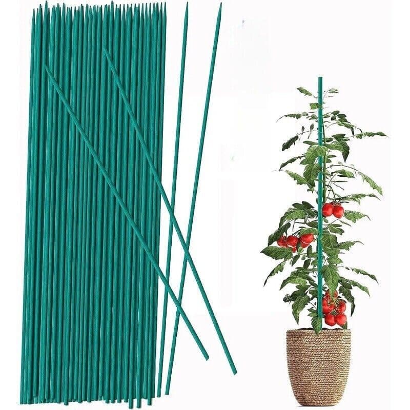 Eyesome Green Plant Support Sticks – 50 pack 60cm Bamboo Stakes - Weather Resistant Canes For Flowers - 24 Inch Wooden Canes for Home or Garden - Great for Making Gardening Tripods