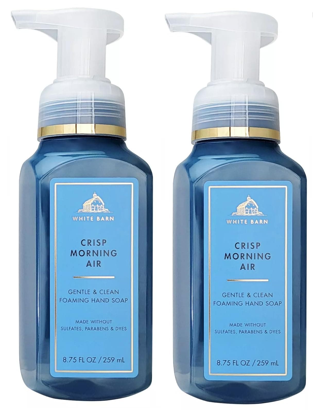 Crisp Morning Air Gentle Foaming Hand Soap Set of 2