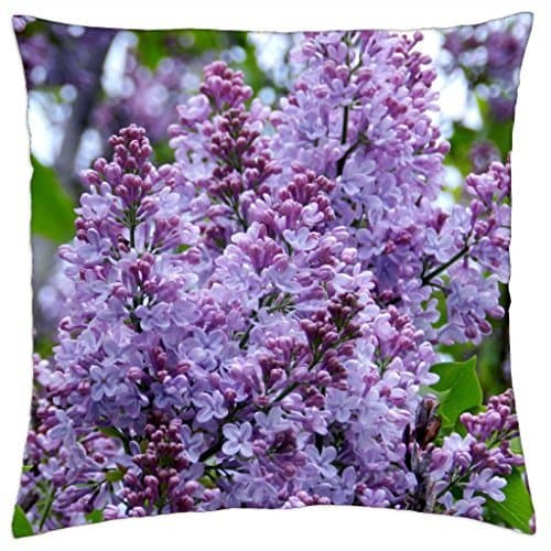 Painted Wooden Hanukkah Dreidel (Colors May Vary)