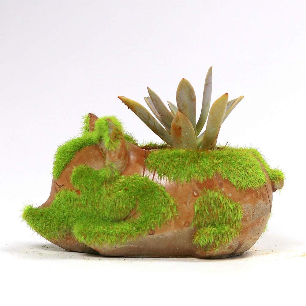 Paudhe Se Yaari Cute Rat Planter Pot for Small Plants Succulents Cactus. Artificial Moss Animal Shape Container for Home Office Desk Tabletop Décor