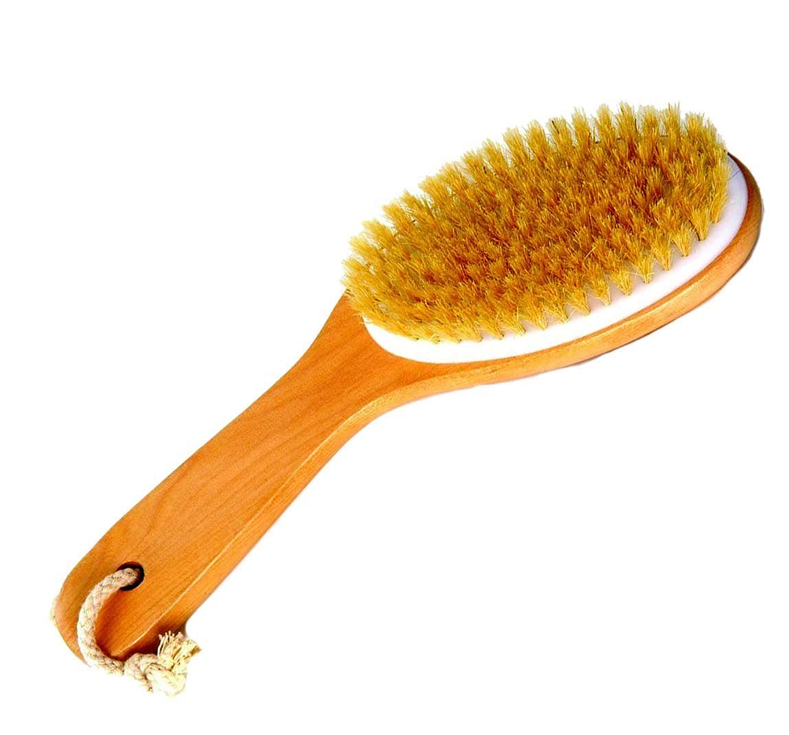 Natural Boar Bristle Body Brush with Wooden Handle by Spa Destinations for wet or dry brushing bath and shower