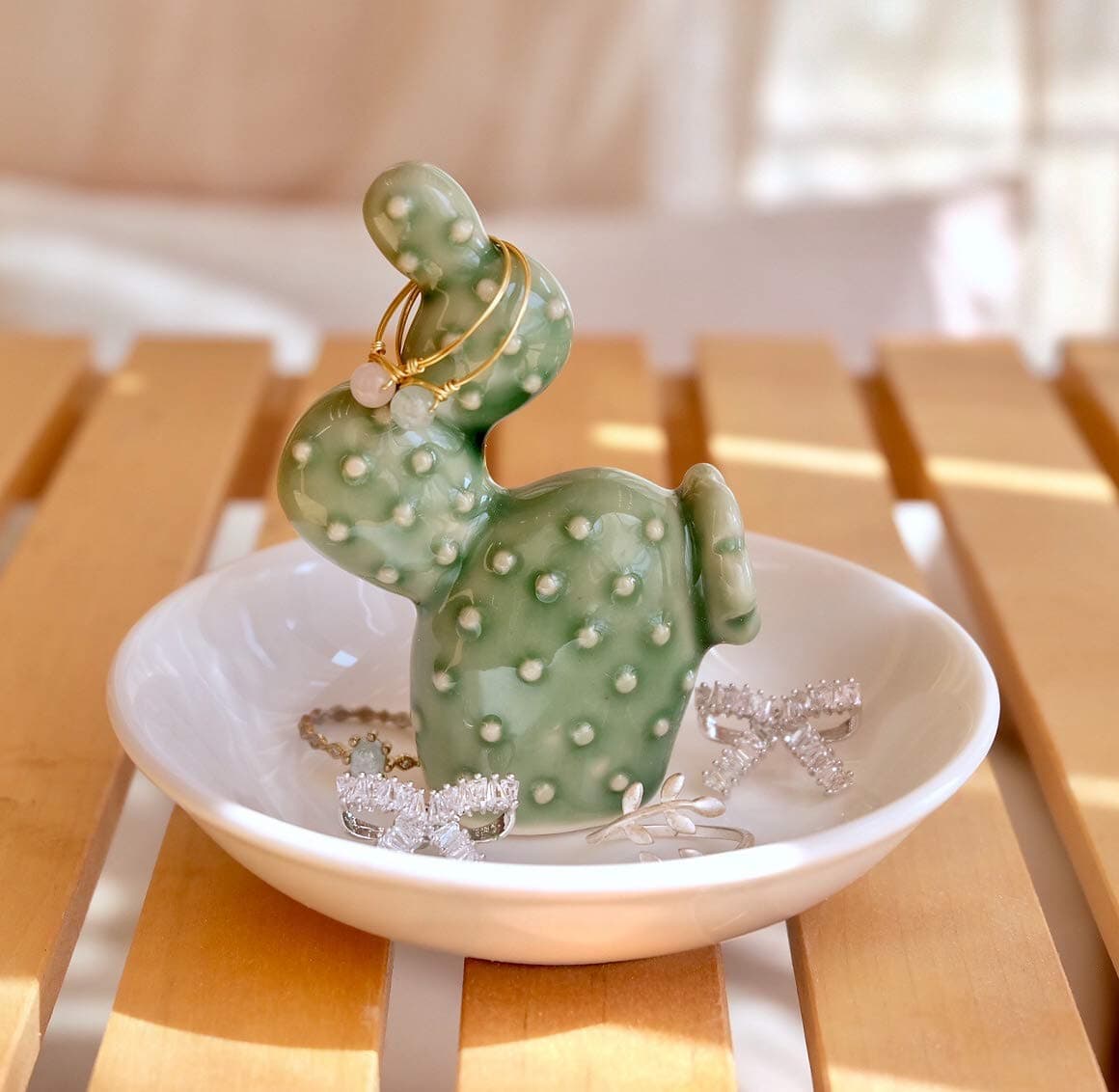 Cactus Home decor