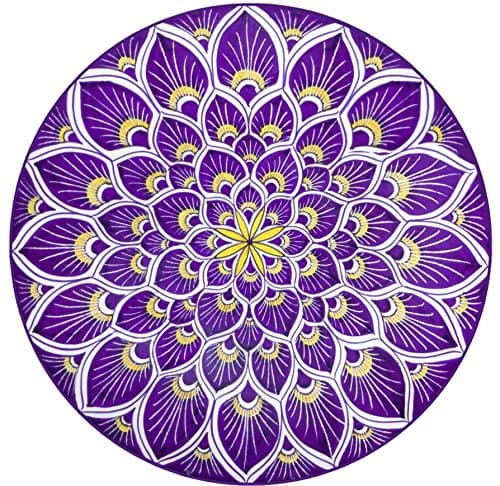 Sliding Glass Door & Window Sticker Decals - 2 per Package -Shower Doors, Alert Birds, Dogs, Kids, Guests. Warn, Protect, Safety, Removable, Self Adhesive, Bird Alert